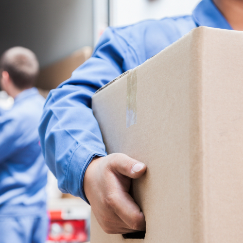 Untitled design – 2024-11-15T161743.252